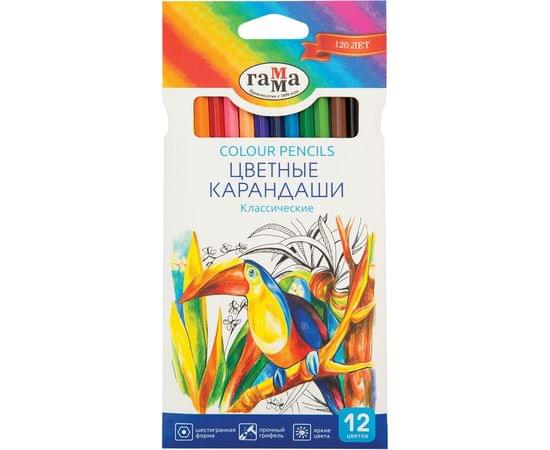 Карандаши цветные Гамма "Классические", 12цв., заточен., картон. упаковка, европодвес 050918_02