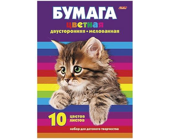 Цветная бумага двусторонняя А4, Hatber "Котенок", 10л., 10цв., мелованная, в папке 10Бц4м_09623