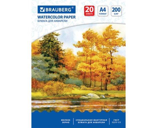 Папка для акварели А4 210*297мм, 20л. BRAUBERG вн.блок 200 г/м2 бумага. по ГОСТ 7277-77, 125226 125226 