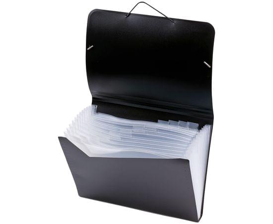 Папка 13 отделений Berlingo "Standard", А4, 700мкм, на резинке, черная ANp_04111