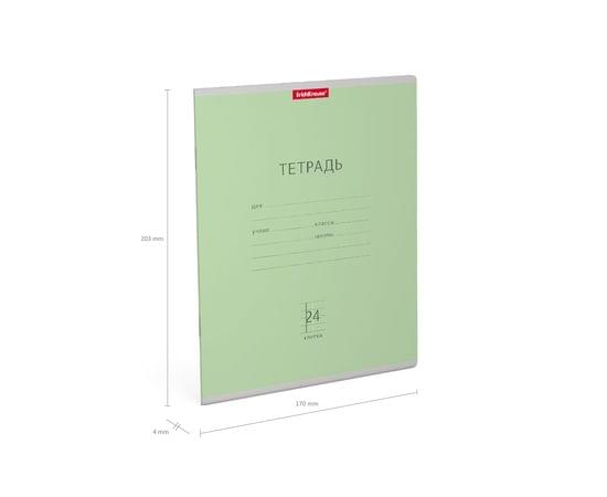 Тетрадь школьная ученическая ErichKrause® Классика зеленая, 24 листа, клетка 024010154-35324