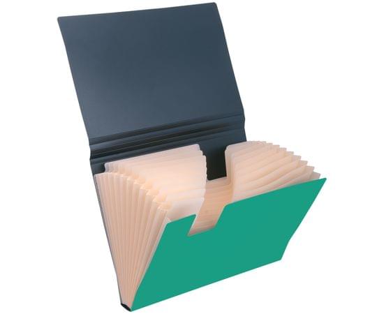 Папка 13 отделений Berlingo "Skyline", А4, 700мкм, на резинке, зеленая ANp_04201_d