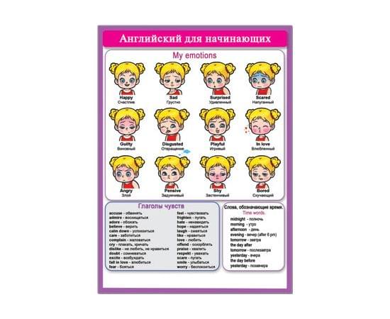 39708 Английский для начинающих 155*210 39708