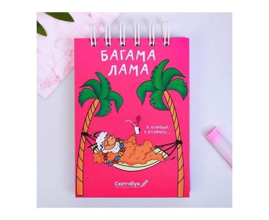 Скетчбук "Багама Лама", твёрдая обложка, А6, 80 листов 3724771