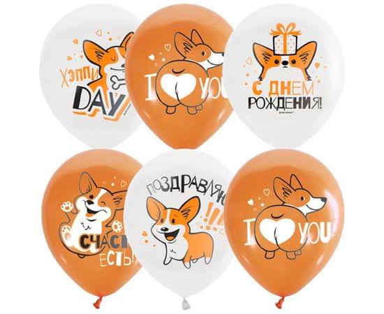 Воздушные шары, М12/30см, ПатиБум "White&Orange. Корги. С днем рождения", декоратор, шелк 4690296072292