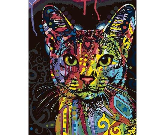 Картина по номерам КАКАДУ 40х50 KA 00001 Цветная кошка KA 00001