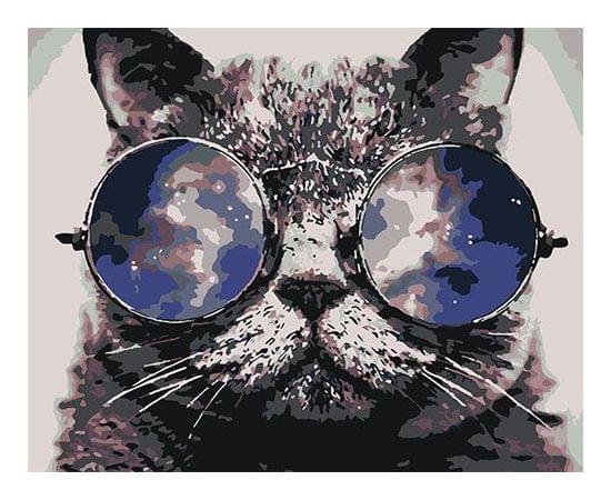 Картина по номерам КАКАДУ 40х50 KA 00055 Кот в очках KA 00055