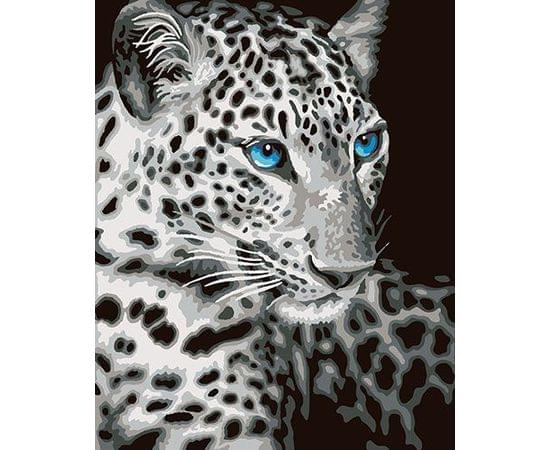 Картина по номерам КАКАДУ 40х50 KA 00071 Леопард KA 00071