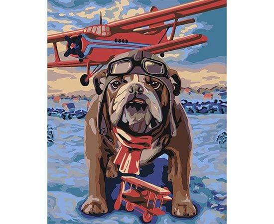 Картина по номерам КАКАДУ 40х50 KA 00133 Пилот KA 00133