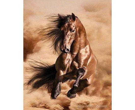 Картина по номерам КАКАДУ 40х50 KA 00168 Лошадь KA 00168