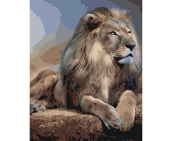 Картина по номерам КАКАДУ 40х50 KA 00170 Лев KA 00170