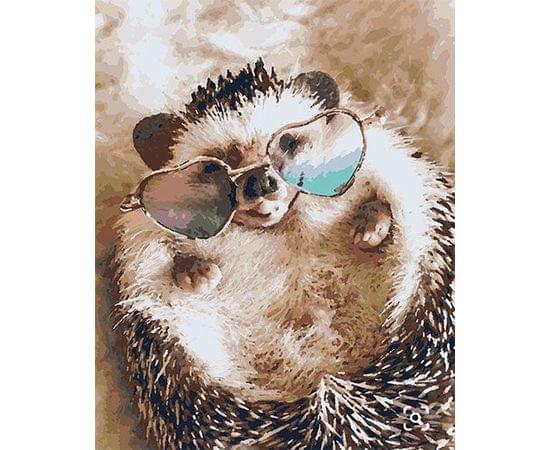 Картина по номерам КАКАДУ 40х50 KA 00188 Ежик в очках KA 00188