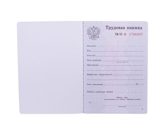 Бланк "Трудовая книжка" Гознак 349212