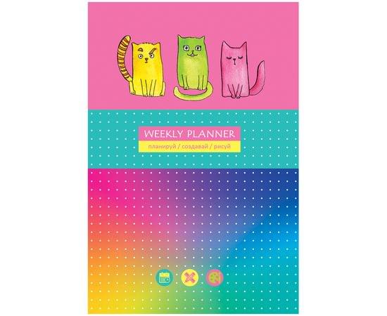 Записная книжка А5 80л. BG "Яркие коты", матовая ламинация, выб. лак, блок в точку ЗК5т80_лм_вл 8364