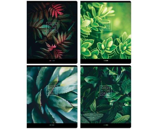 Тетрадь 96л., А5, линия ArtSpace "Природа. Макро" Т96л_36464