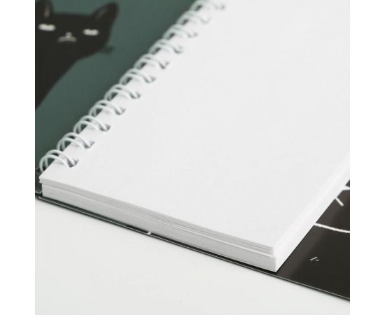 Блокнот двойной «Не отвлекай меня от лени» 6116978