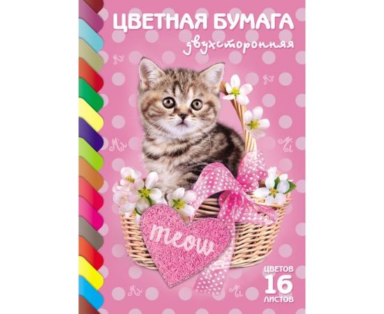 Бумага цветная А4 16л, 16цв, Котик, двухсторонняя, Хатбер 16Бц4_15026