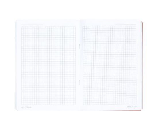 Тетрадь 48л., А5, клетка MESHU "Mountcats", матовая ламинация, тиснение фольгой, ЕВРО MS_43138