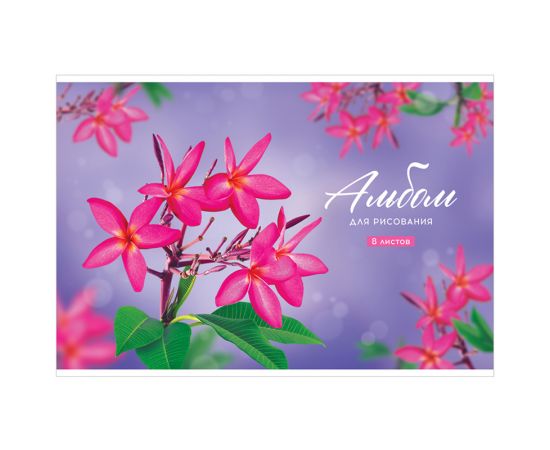 Альбом для рисования 08л., А4, на скрепке ArtSpace "Цветы. Plumeria", обложка-офсет А08ф_36100