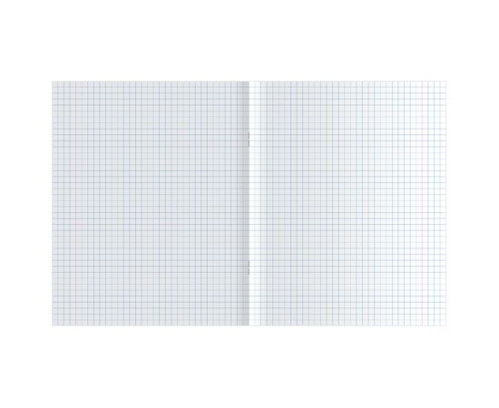 Тетрадь 48л., А5, клетка ArtSpace "Цветы. Garden flowers", суперэконом Т48кЭ_24454