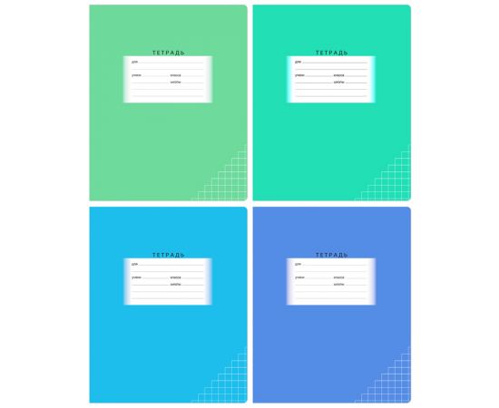 Тетрадь 24л., клетка BG "Школьная", эконом Т5ск24 7340