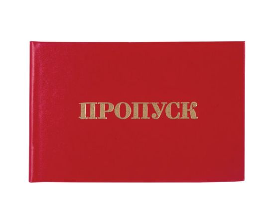 Бланк документа Пропуск, 65*98мм, STAFF,  129143 129143 