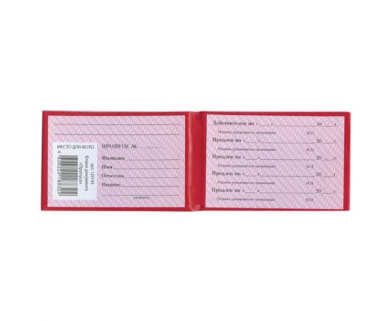 Бланк документа Пропуск, 65*98мм, STAFF,  129143 129143 