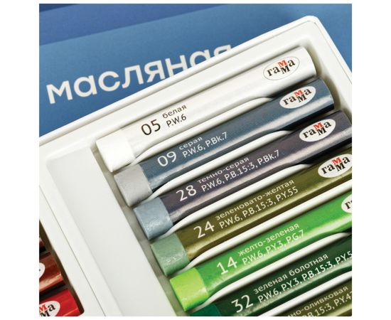 Пастель масляная Гамма "Студия", 25 цветов, картон. упаковка 290920201