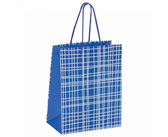 Пакет подарочный 17,8x9,8x22,9 см, ЗОЛОТАЯ СКАЗКА "В голубую клетку", ламинированный, 606597 606597