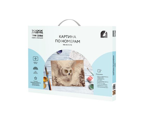 Картина по номерам на холсте ТРИ СОВЫ "Полярная сова", 40*50, с акриловыми красками и кистями КХ_44165