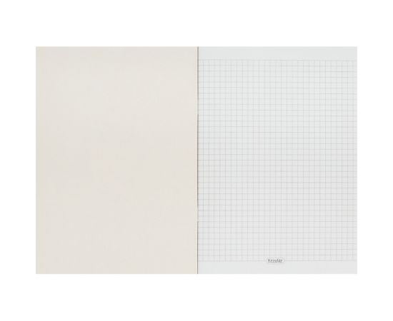 Тетрадь общая 48л серия ?Школа?, блок 65 гр/м, клетка, обл. 230 гр 07385 07385