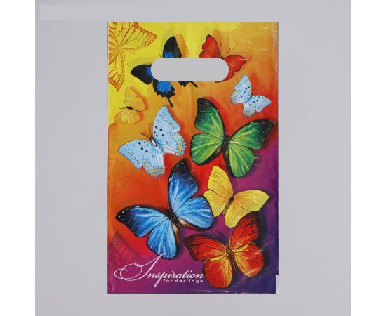 Пакет «Вдохновение», полиэтиленовый с вырубной ручкой, 30 мкм, 20 х 30 см 1464569