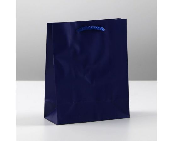Пакет ламинированный «Синий», S 12 х 15 х 5,5 см    6582792 6582792