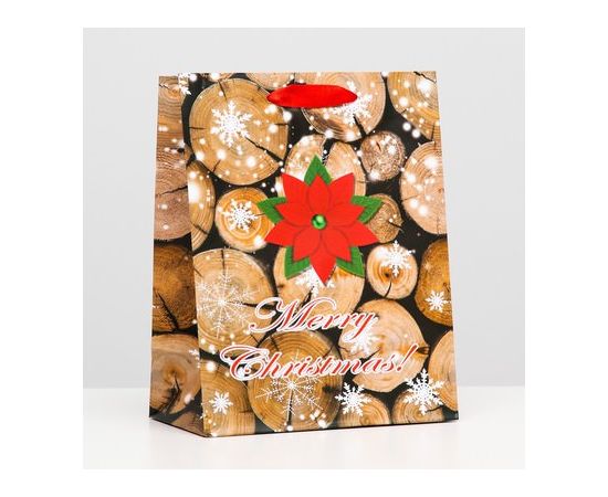 Пакет ламинированный "Снежинки" 18 х 23 х 10 6854156 6854156