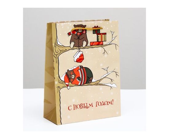 Пакет подарочный "Праздничное настроение", 18 х 24 х 8 см 7465069 7465069