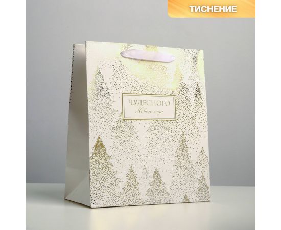 Пакет ламинированный вертикальный «Чудесного праздника», ML 23 × 27 × 11,5 см   4843286 4843286