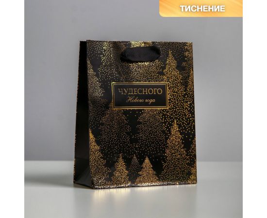 Пакет ламинированный вертикальный «Чудесного Нового года», S 12 × 15 × 5.5 см   4843289 4843289