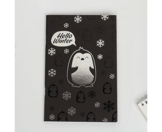 Тетрадь с чёрными листами "Hello winter", 32 листа   4941221 4941221