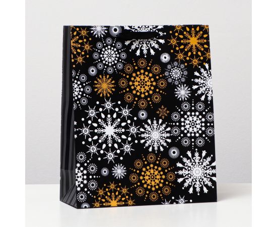 Пакет ламинированный 26x32x12 5001299 5001299