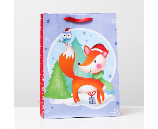 Пакет ламинированный 31х42х12   6853970 6853970