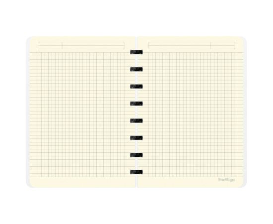 Бизнес-тетрадь А5+, 80л., Berlingo "Gradient", глиттер-эффект, клетка, на кольцах, с возм. замены блока, 80г/м2, пластик. обложка 700мкм, линейка-закл RNt_A5703