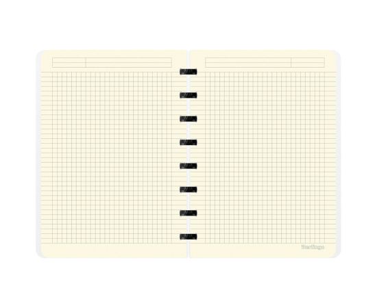 Бизнес-тетрадь А5+, 80л., Berlingo "Color Block", клетка, на кольцах, с возм. замены блока, 80г/м2, пластик. обложка 700мкм, линейка-закладка RNt_A5S03