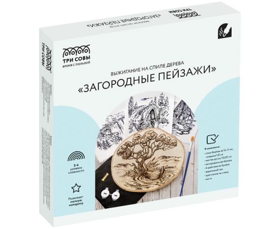 Набор для выжигания на спиле дерева ТРИ СОВЫ "Красота природы", диаметр 15см, картонная коробка НВ_45950