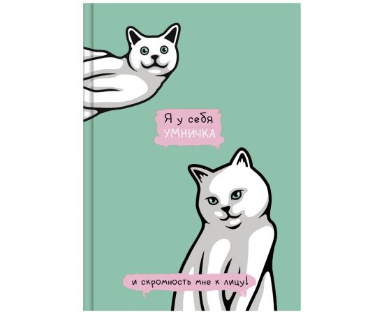Скетчбук 80л., А5 BG "Я у меня умничка", 7БЦ, матовая ламинация, белый блок с градиентом, 100г/м2 С5т80_лм 10035