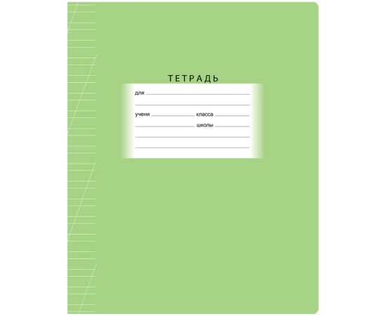 Тетрадь 12л., косая линия BG "Школьная", зеленая, эконом Т5ск12 7331