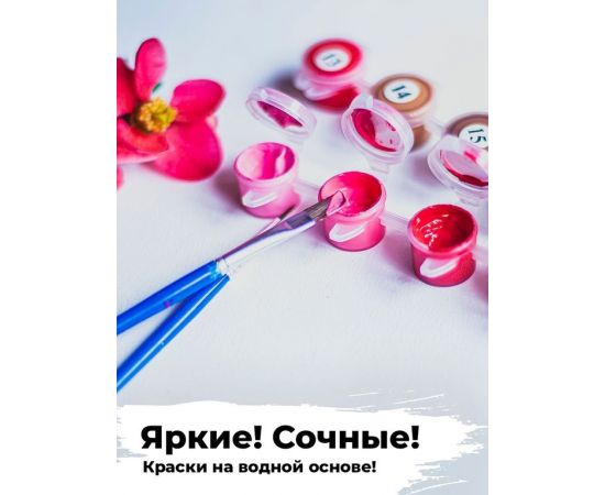 Картина по номерам 40х50 N 00003 Тихое озеро+ N 00003