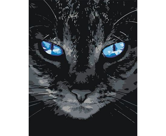Картина по номерам КАКАДУ 40х50 KA 00031 Голубоглазый кот KA 00031