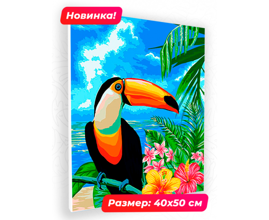 Картина по номерам 40х50 N 00092 Тукан+ N 00092