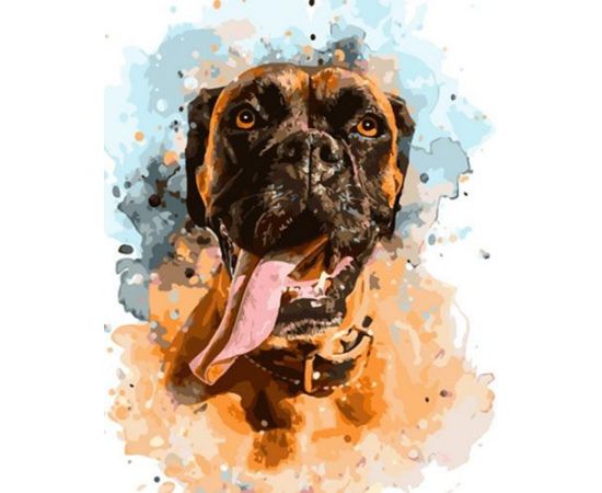 Картина по номерам 40х50 OK 11103 Боксер OK 11103