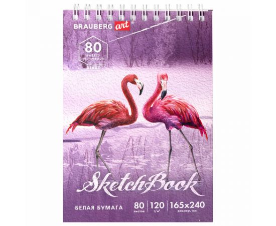 Скетчбук, белая бумага 120г/м 165х240мм, 80л, гребень, твердая обложка, BRAUBERG ART DEBUT, 112990 112990